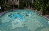 Туры в отель Hotel DORALBA INN Chichen