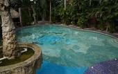 Туры в отель Hotel DORALBA INN Chichen