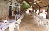 Туры в отель Hotel DORALBA INN Chichen
