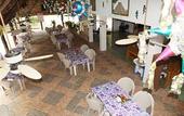 Туры в отель Hotel DORALBA INN Chichen
