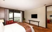 Туры в отель Crowne Plaza Xuzhou Dalong Lake