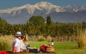 Туры в отель Entre Cielos Wine & Wellness Hotel