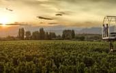 Туры в отель Entre Cielos Wine & Wellness Hotel