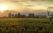 Туры в отель Entre Cielos Wine & Wellness Hotel