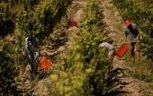 Туры в отель Entre Cielos Wine & Wellness Hotel