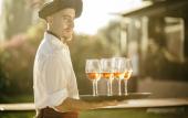 Туры в отель Entre Cielos Wine & Wellness Hotel