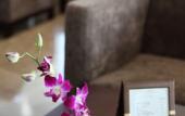 Туры в отель TUI BLUE Tuy Hoa - Wellness & Retreat Hotel