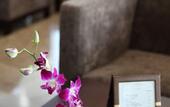 Туры в отель TUI BLUE Tuy Hoa - Wellness & Retreat Hotel