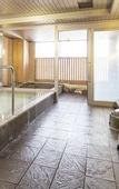 Туры в отель Hotel Mystays Kanazawa Castle