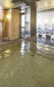 Туры в отель Hotel Mystays Kanazawa Castle
