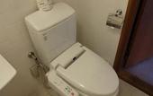 Туры в отель Nikko Kanaya Hotel