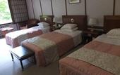 Туры в отель Nikko Kanaya Hotel
