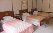 Туры в отель Nikko Kanaya Hotel