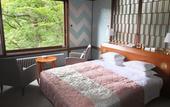 Туры в отель Nikko Kanaya Hotel