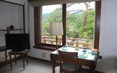 Туры в отель Nikko Kanaya Hotel