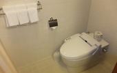 Туры в отель Nikko Kanaya Hotel