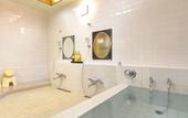 Туры в отель Nikko Kanaya Hotel