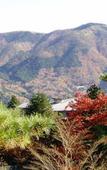 Туры в отель Marroad Hakone