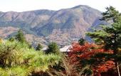 Туры в отель Marroad Hakone