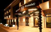 Туры в отель Hotel Brandoli