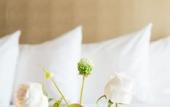 Туры в отель City Hotel Gouda - World Hotels Crafted Collections