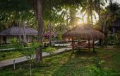 Туры в отель Trawangan Oasis