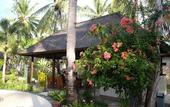 Туры в отель Trawangan Oasis