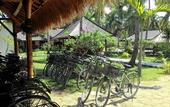 Туры в отель Trawangan Oasis