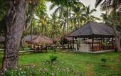 Туры в отель Trawangan Oasis