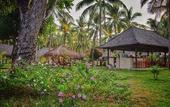 Туры в отель Trawangan Oasis
