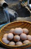 Туры в отель Shibu Onsen KOKUYA
