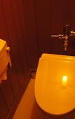 Туры в отель Kawaguchiya Kinosaki Riverside Hotel