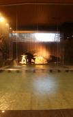 Туры в отель Kawaguchiya Kinosaki Riverside Hotel