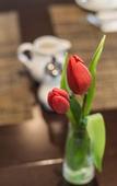 Туры в отель Garner Hotel Bremen North by IHG