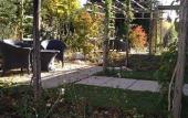 Туры в отель Venicegreen Agriresort