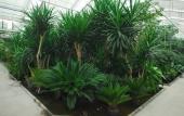 Туры в отель Venicegreen Agriresort