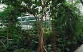 Туры в отель Venicegreen Agriresort