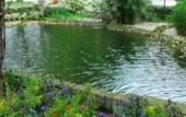 Туры в отель Venicegreen Agriresort