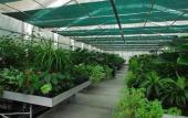 Туры в отель Venicegreen Agriresort