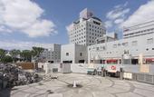 Туры в отель Hotel Nikko Tsukuba