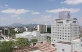 Туры в отель Hotel Nikko Tsukuba