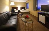 Туры в отель Hotel Nikko Tsukuba