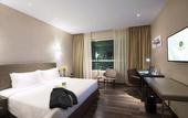 Туры в отель Olive Tree Hotel