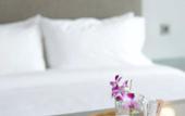 Туры в отель Olive Tree Hotel