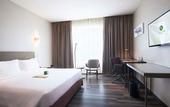 Туры в отель Olive Tree Hotel