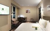 Туры в отель Olive Tree Hotel