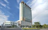 Туры в отель Olive Tree Hotel