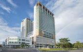Туры в отель Olive Tree Hotel