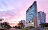 Туры в отель Olive Tree Hotel