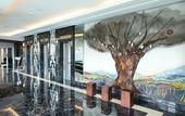 Туры в отель Olive Tree Hotel